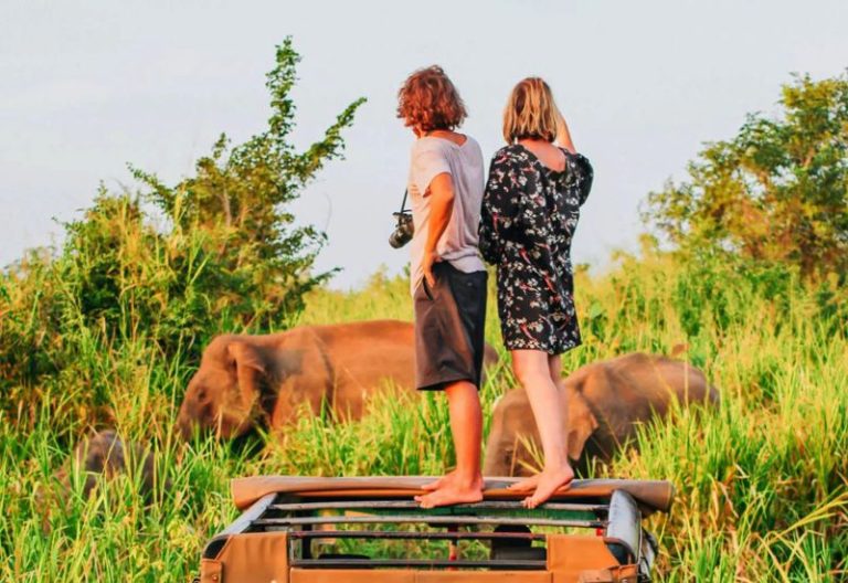 Why Sri Lanka Travel Com Lanka Holidays